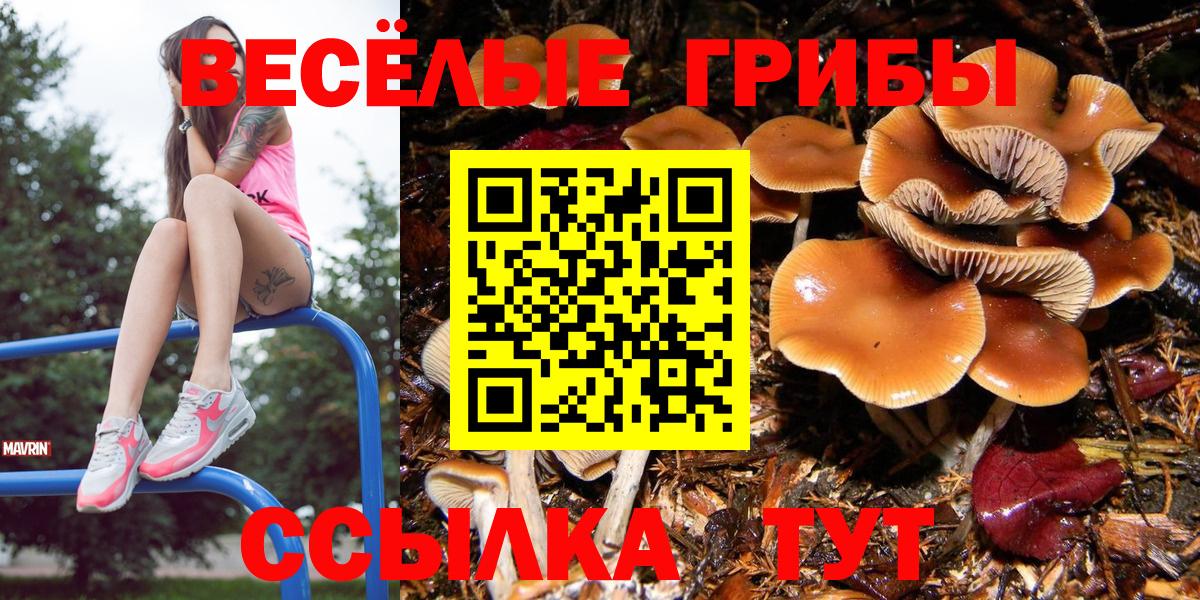 Галлюциногенные грибы MAGIC MUSHROOMS Пыть-Ях